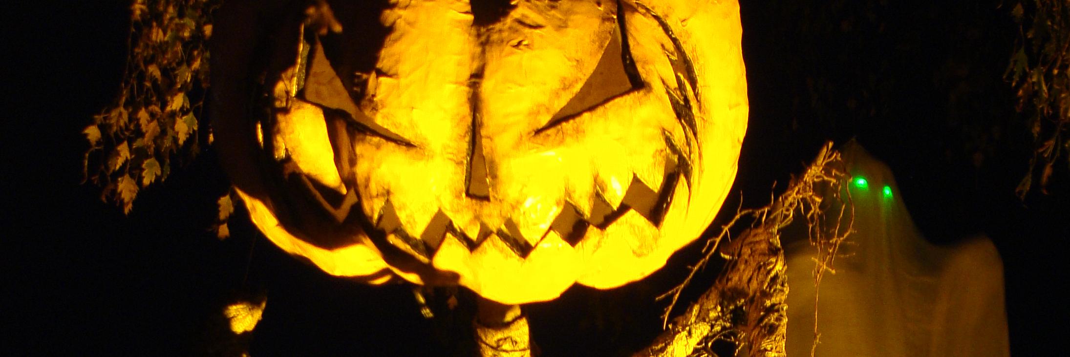 EvilVines's profile banner image