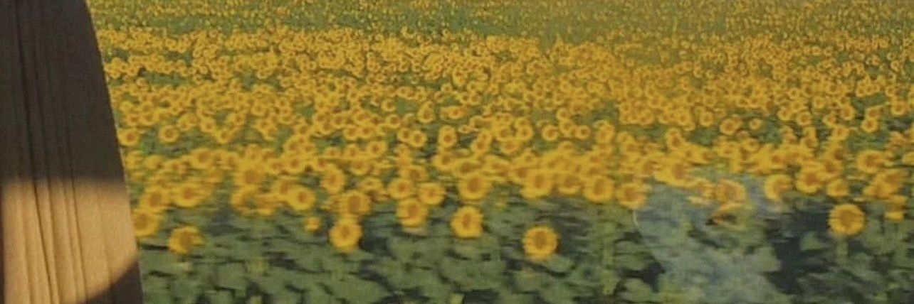 AniRomano__'s profile banner image