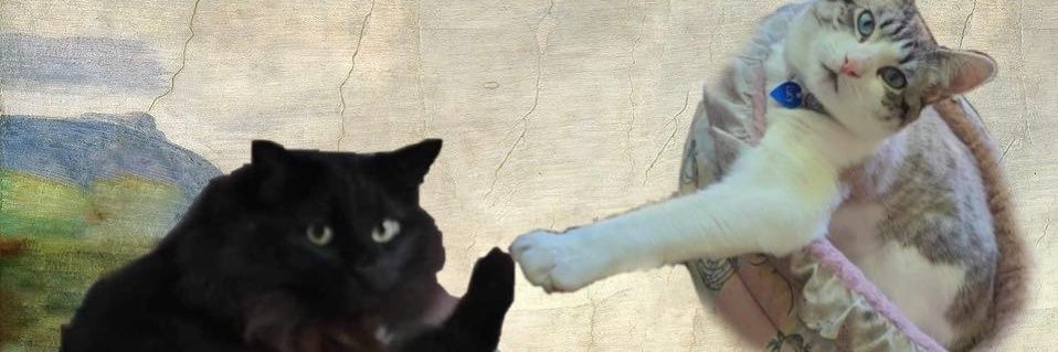 cringeferatu's profile banner image
