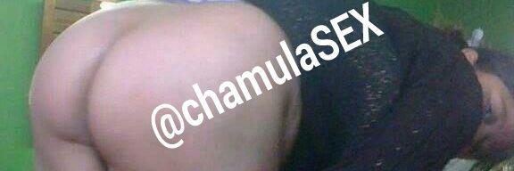 chamulamusic's profile banner image