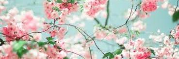TudooEu's profile banner image