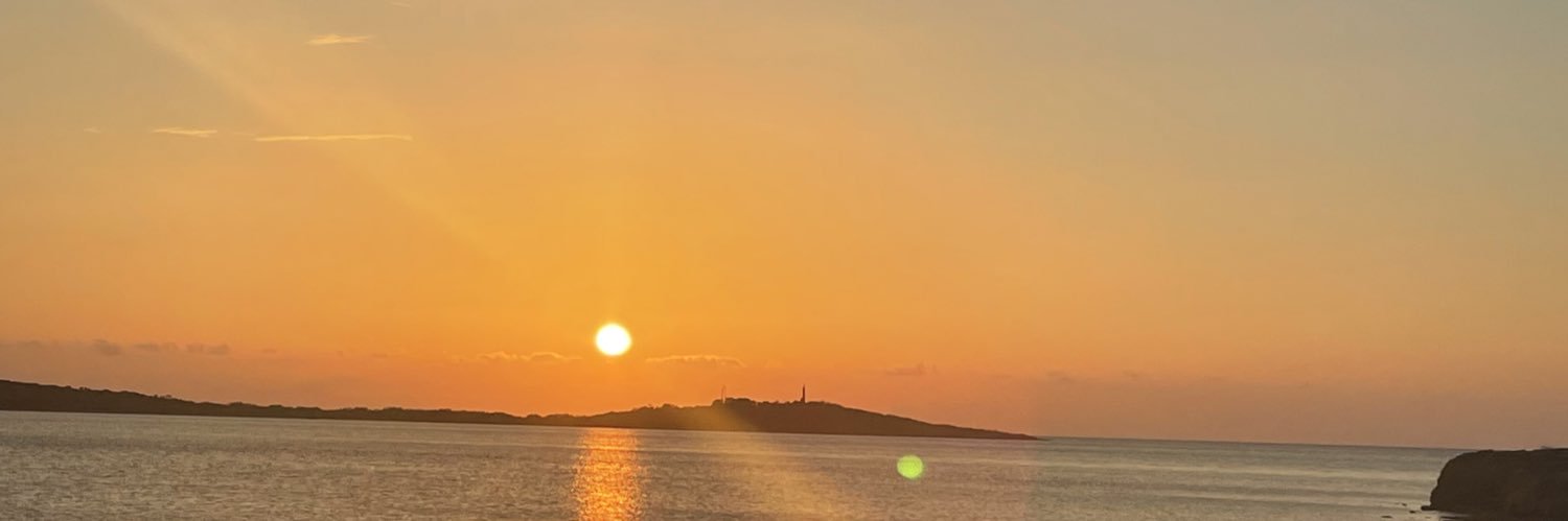 cocorikmo's profile banner image
