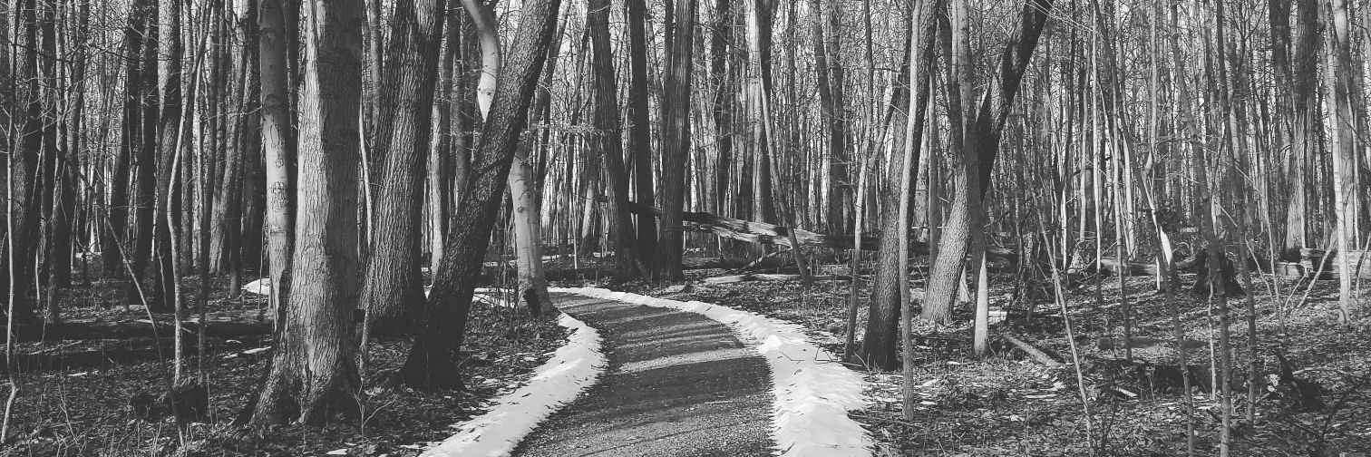 Melissa Samluk banner