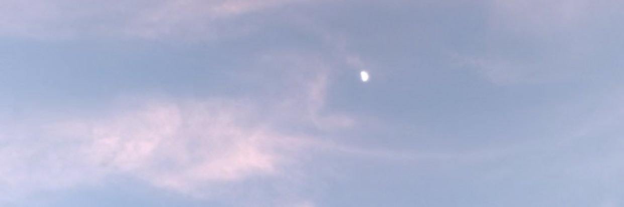 lizzie_weimer's profile banner image