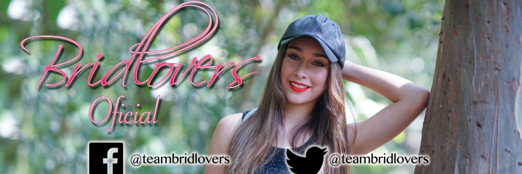 teambridlovers's profile banner image