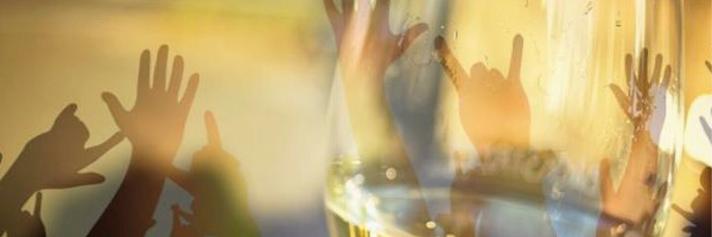VinoPalooza's profile banner image