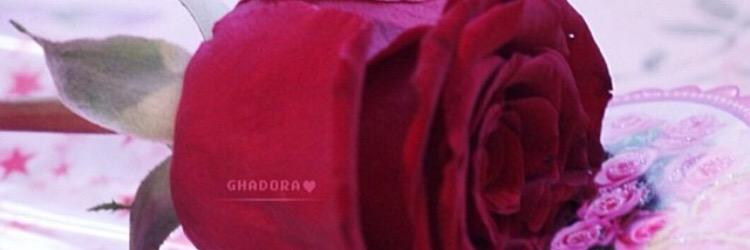 Sh1416m's profile banner image