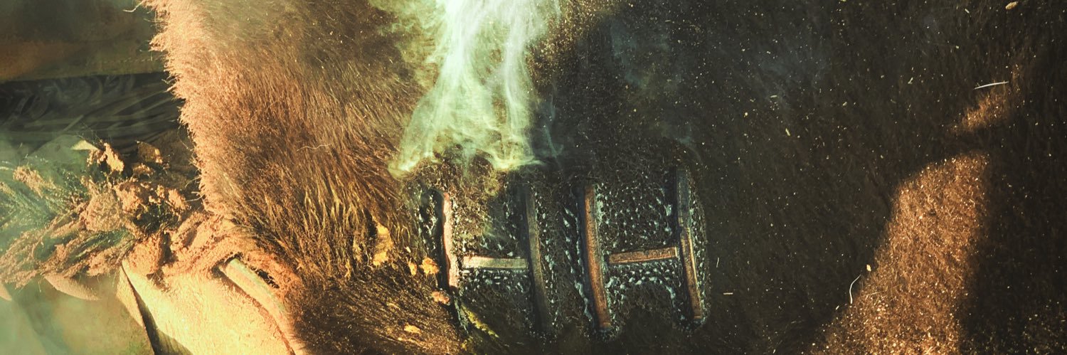 kasynlraerae's profile banner image