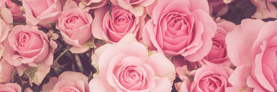 ____17312's profile banner image