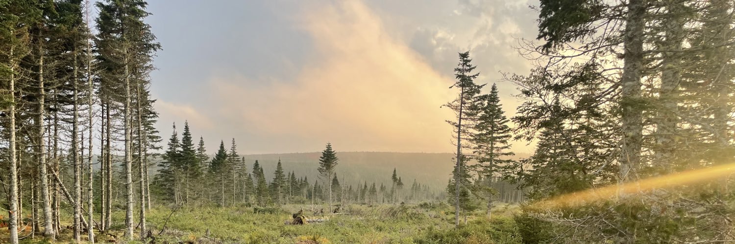 Hammer onenine banner