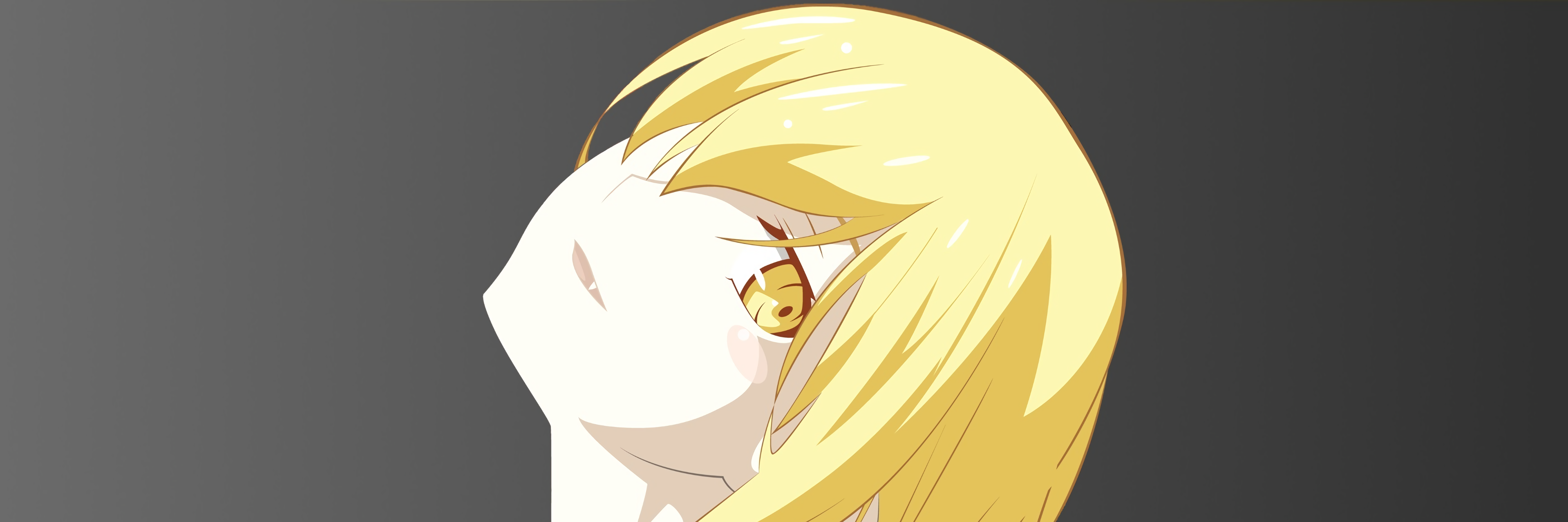 desuhub's profile banner image
