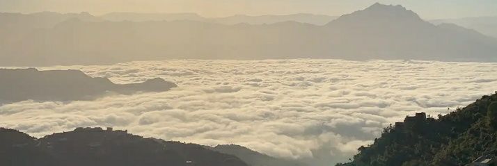 موسى بن يحيى banner