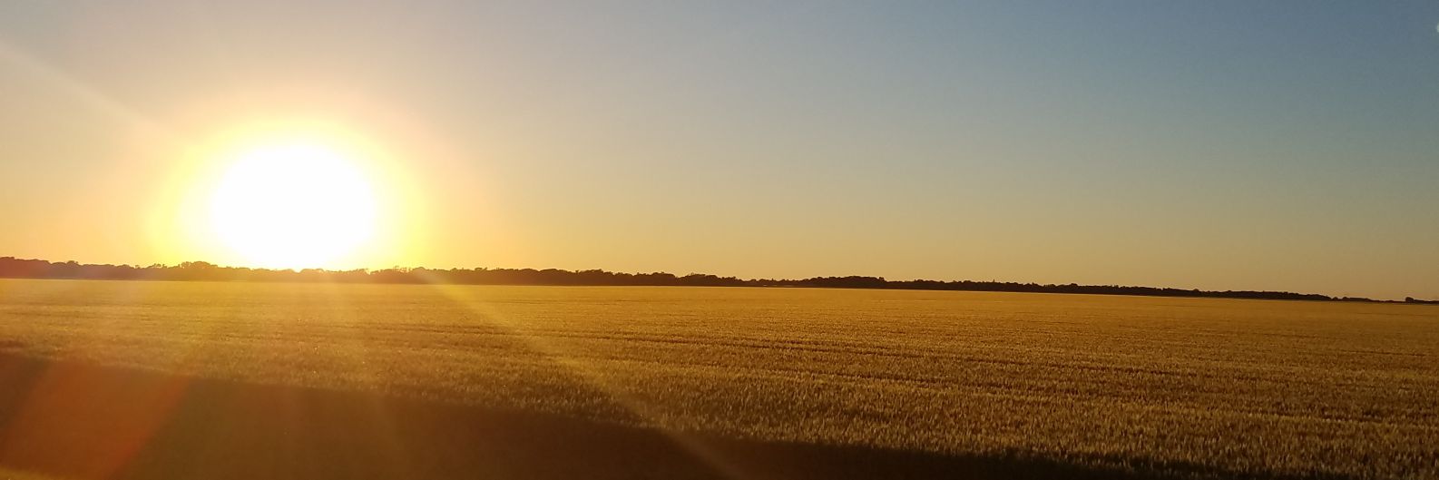 lorreefleming's profile banner image