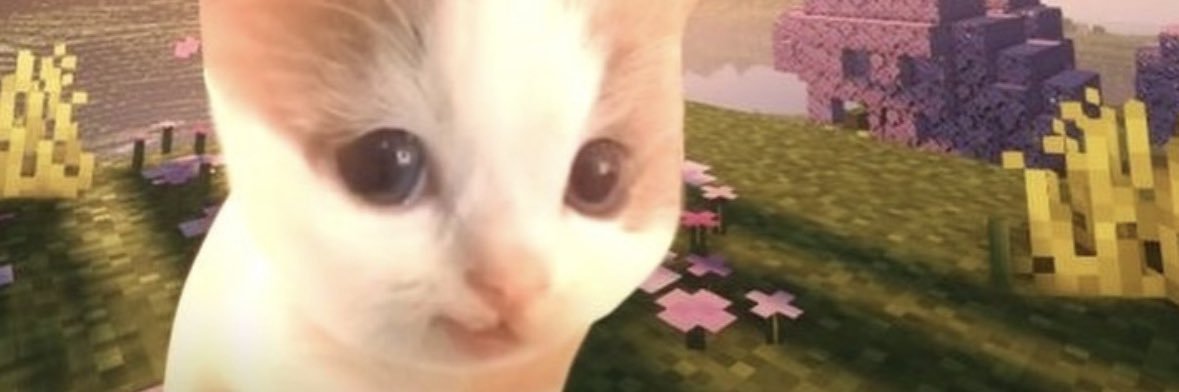 Ramon_890's profile banner image