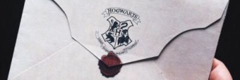 Bacca_The_Bunny banner