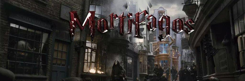 Voldytty's profile banner image