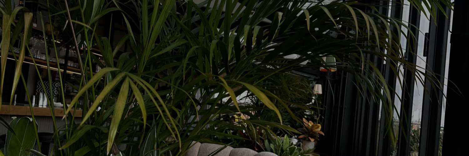 _nsimone's profile banner image