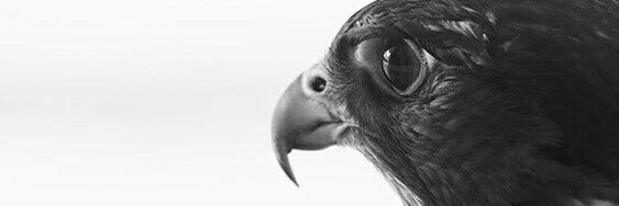 Ahmedprofx's profile banner image