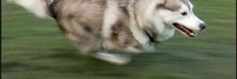 Quixctic's profile banner image
