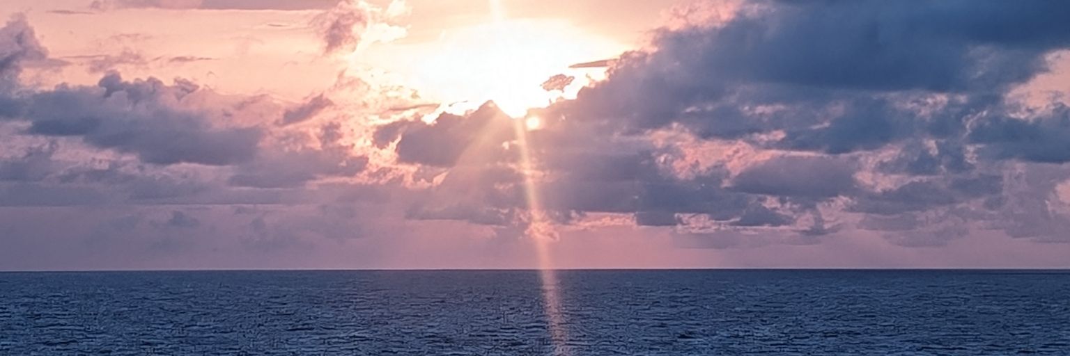 monkeybymyself's profile banner image