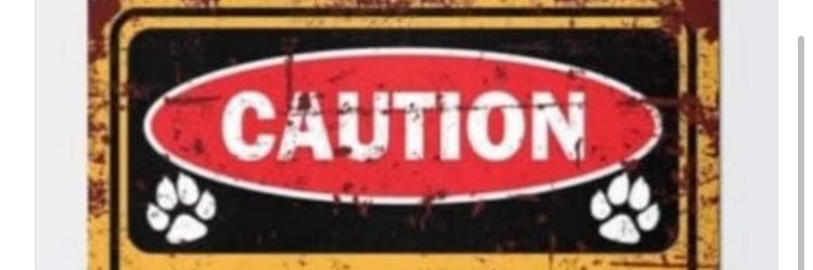 ccmschaefer's profile banner image