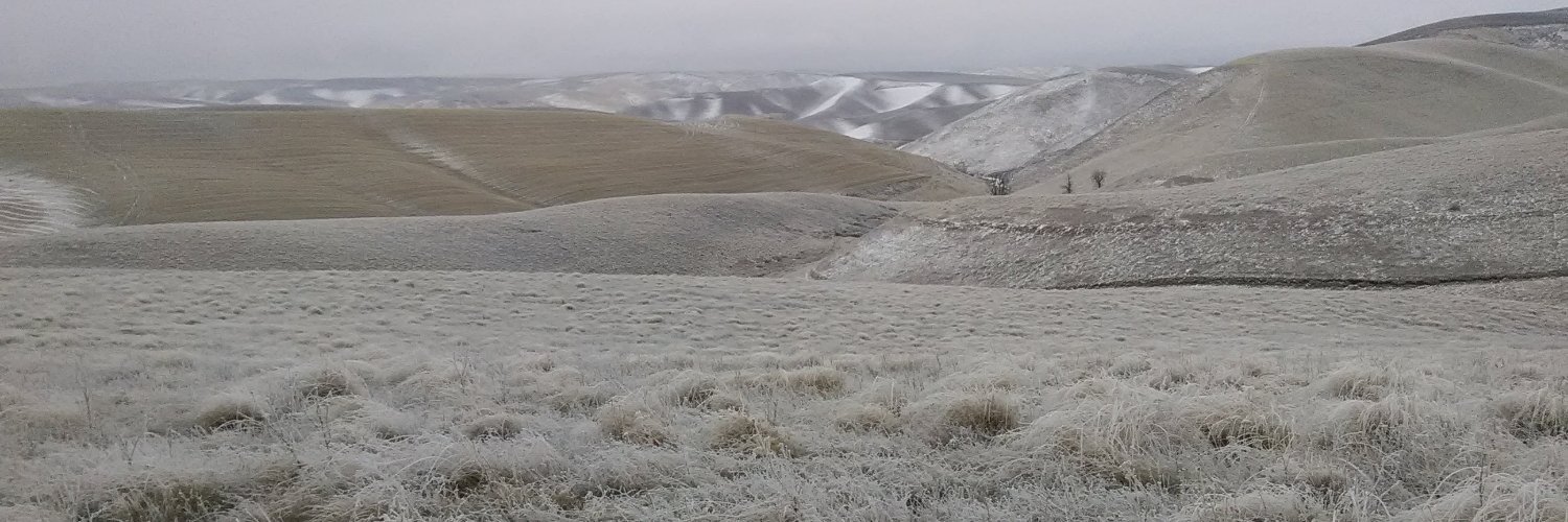 Tyler Linderoth banner