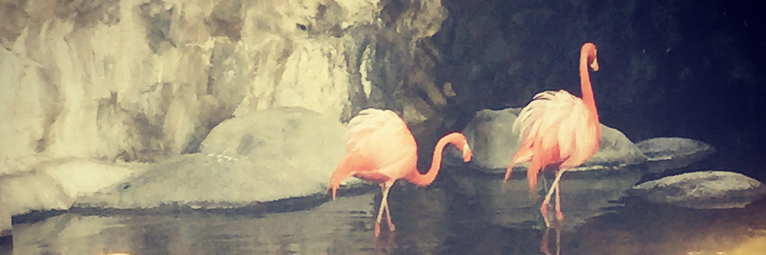 megmarian3's profile banner image