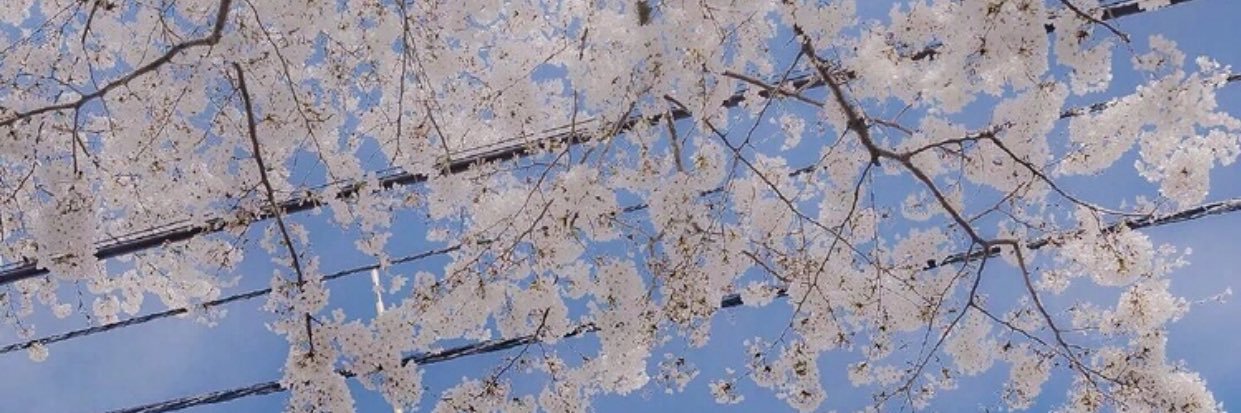 ika-！ banner