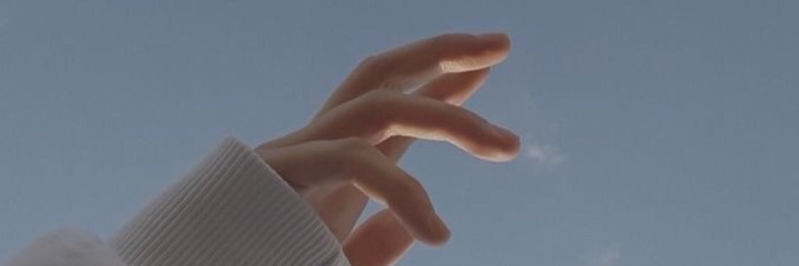 nriibird's profile banner image
