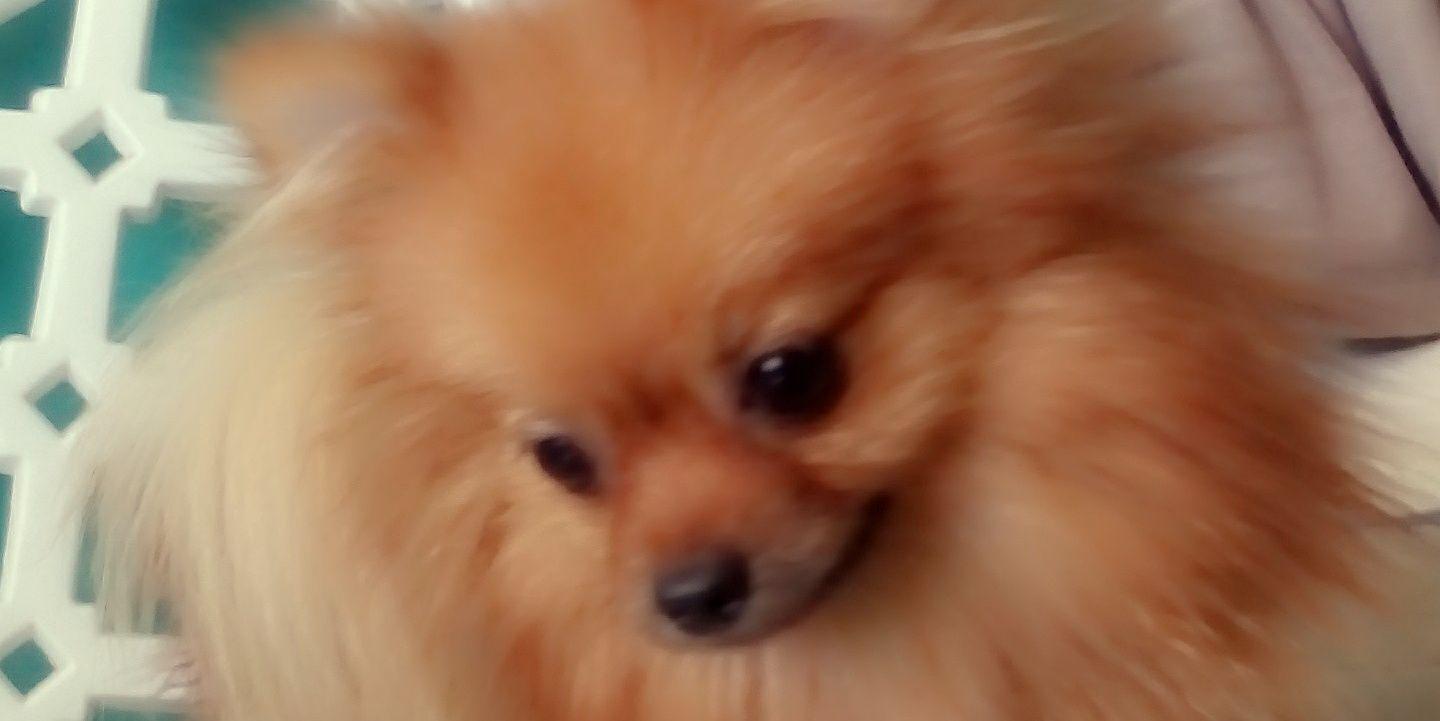 ysabel28imm's profile banner image