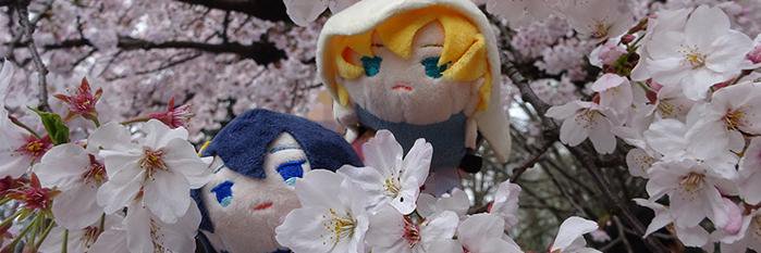irukaa6919's profile banner image