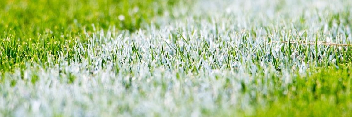 LHS_Soccer's profile banner image