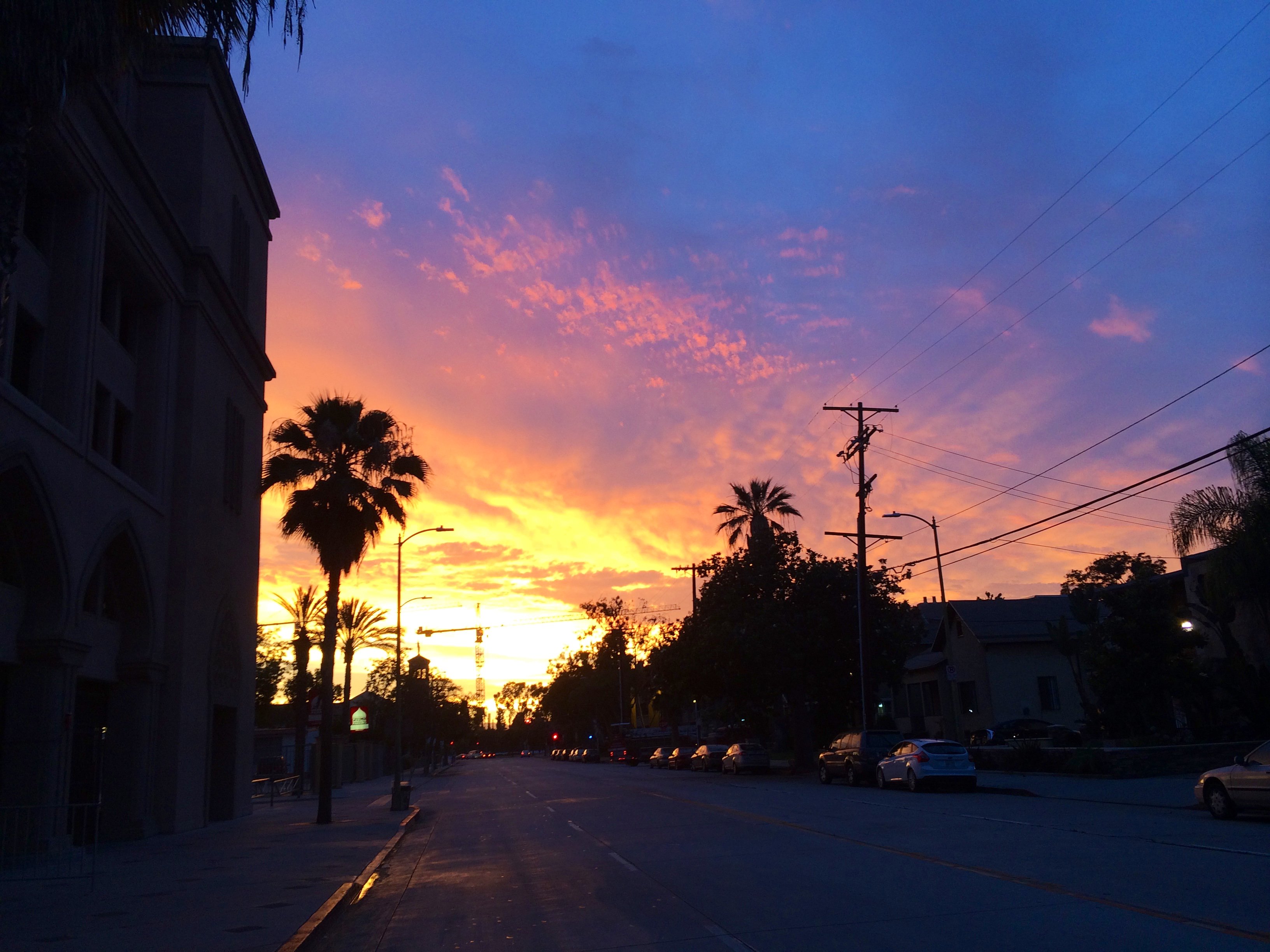 Connie “Dory” Chan banner