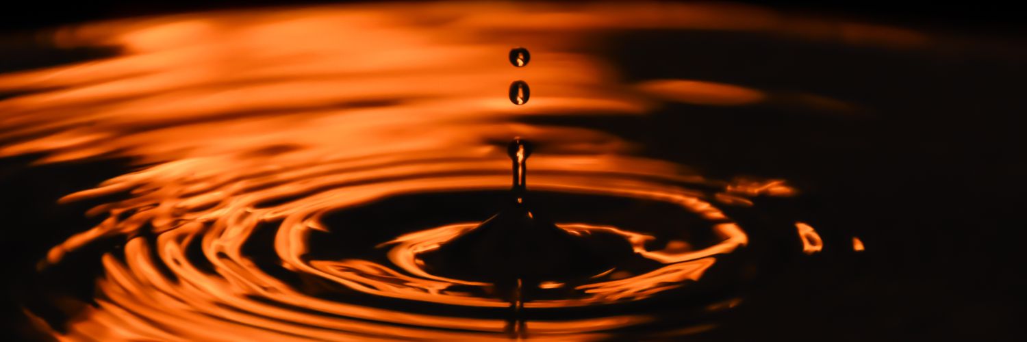 Ganesh Vernekar banner