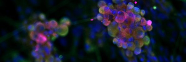 mike_doc_B Profile Banner