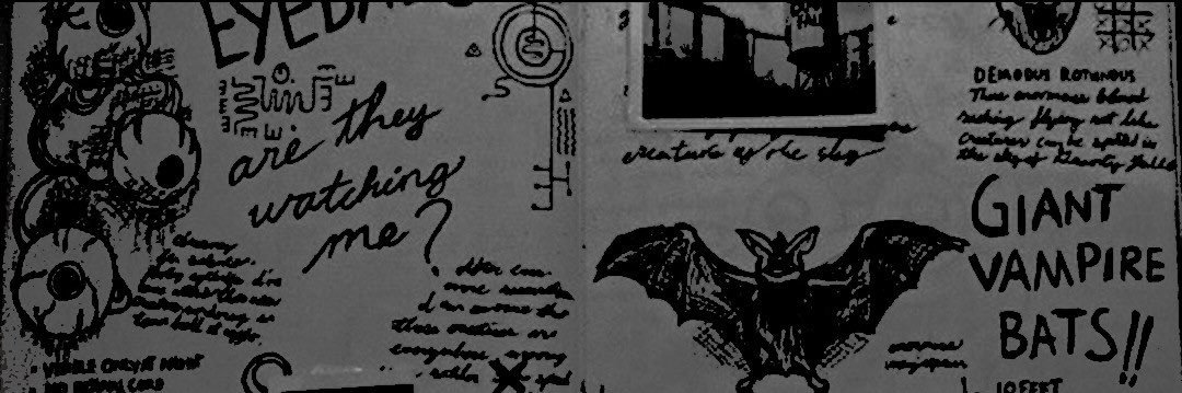 ichoricide's profile banner image