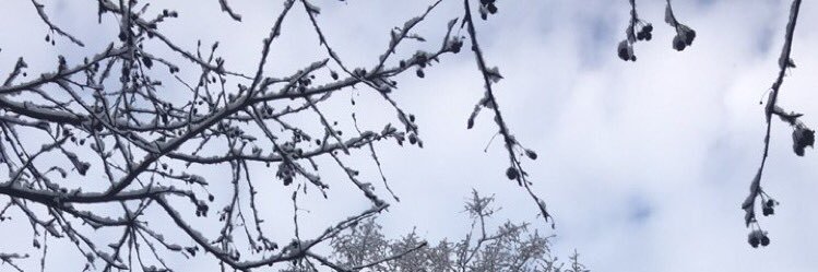 originaljlynn's profile banner image