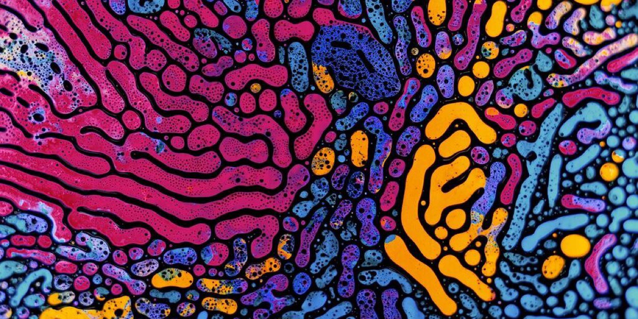 xAlexaRae's profile banner image