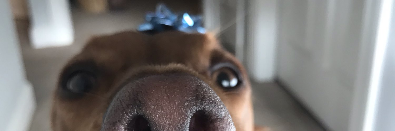 gracektaa's profile banner image