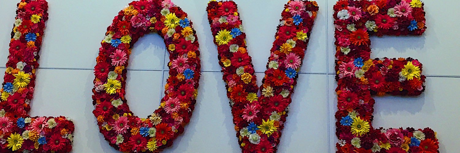Frani_Ann's profile banner image
