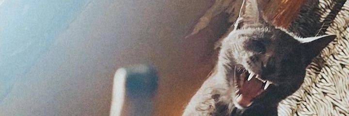 LaraAle22's profile banner image