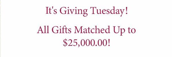 modestneeds Profile Banner