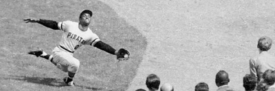 David Johnson banner