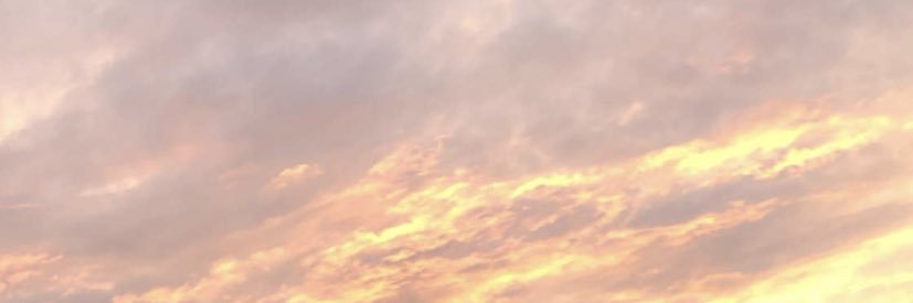 kaelataylor's profile banner image