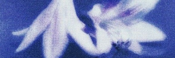 chicpotle's profile banner image