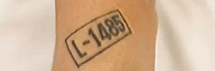 𝑪𝒉𝒂𝒏𝒃𝒂𝒆.🎄✨ banner