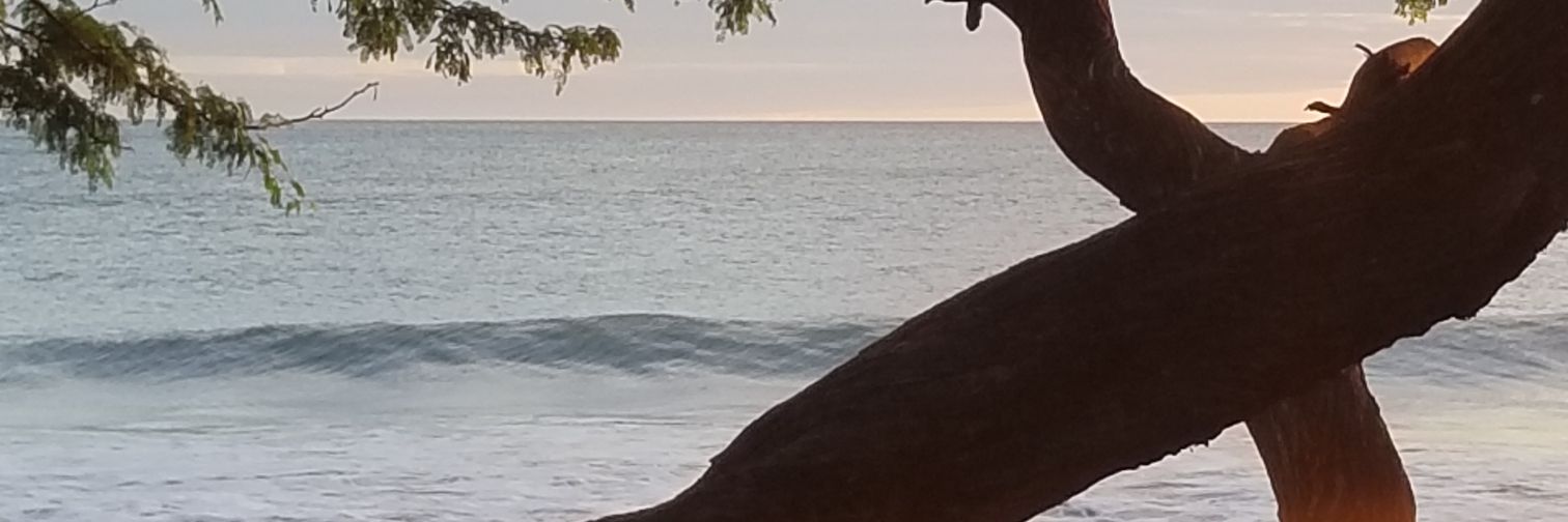 Rod_eDash's profile banner image