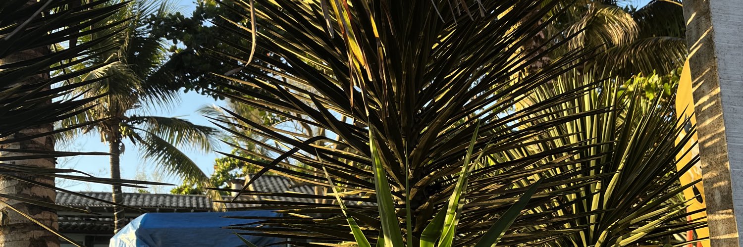thamsantt's profile banner image