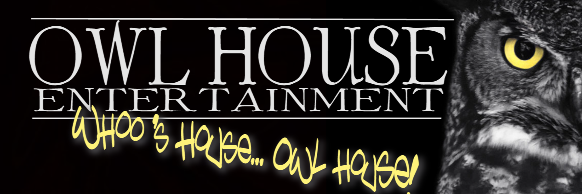 OwlHouseEnt's profile banner image