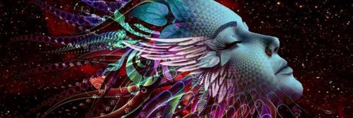 Liliya Lvivska banner